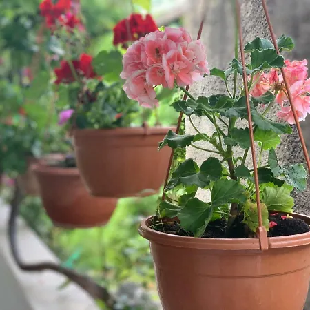 Appartement House Marta