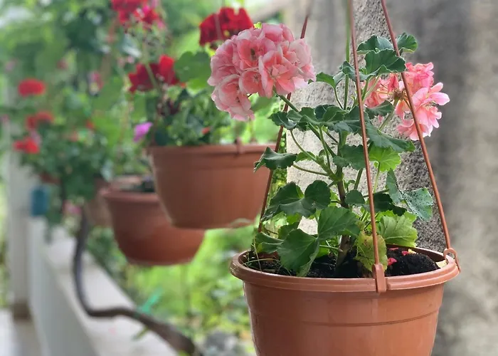 Apartment House Marta